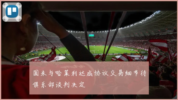 国米与哈莱利达成协议交易细节待俱乐部谈判决定